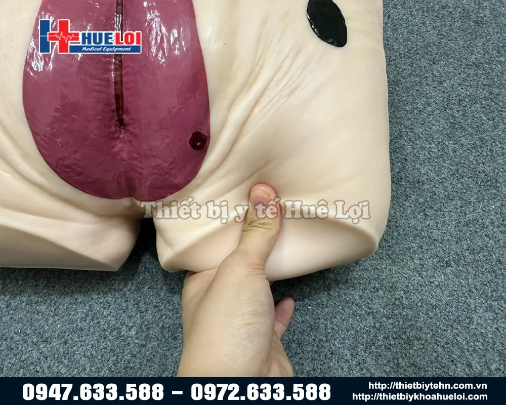 Mô hình chăm sóc vết thương vùng cùng cụ được làm chất liệu Silicone y tế