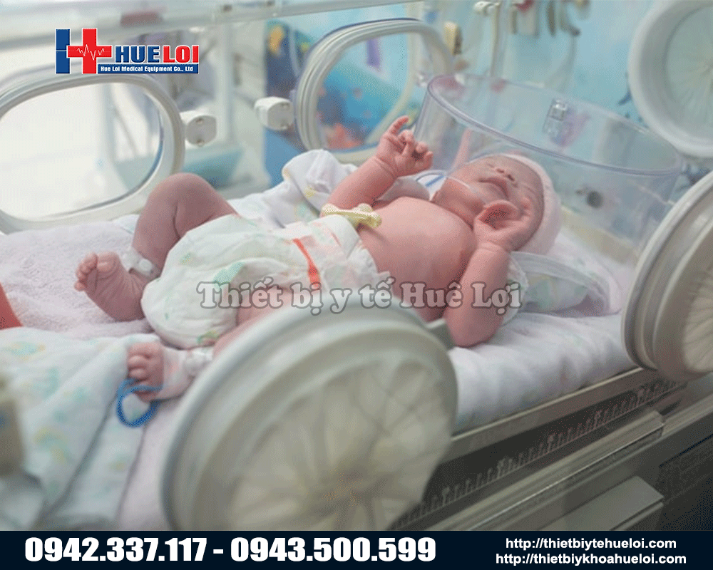 Trẻ sơ sinh nằm trong lồng ấp