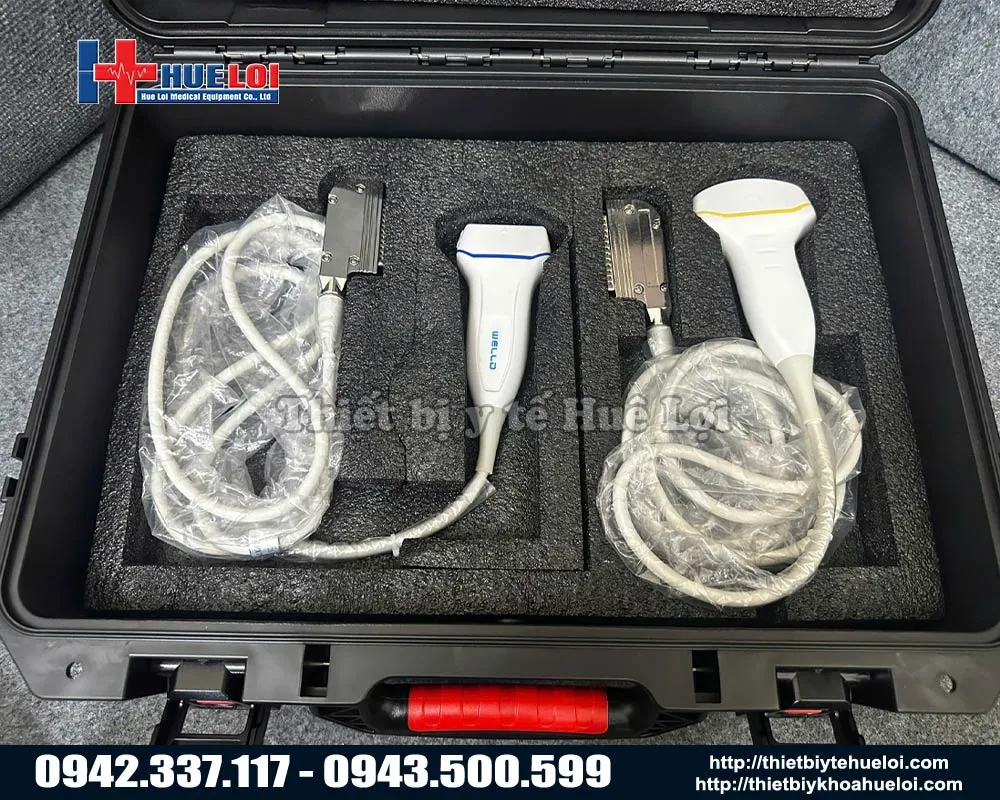 Đầu dò máy siêu âm P10