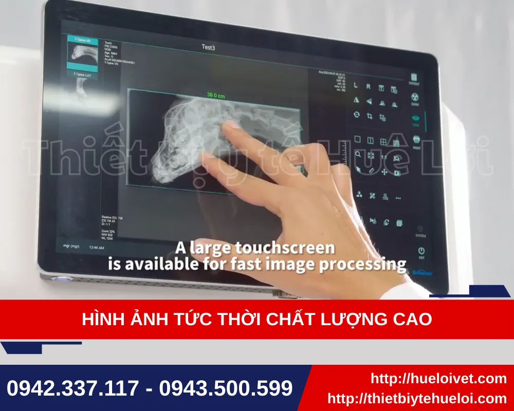 Ảnh chụp kỹ thuật số của máy X-Quang thú y