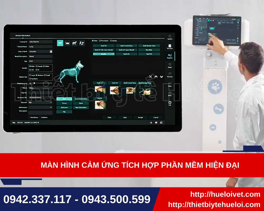 Màn hình của máy X-Quang thú y cố định