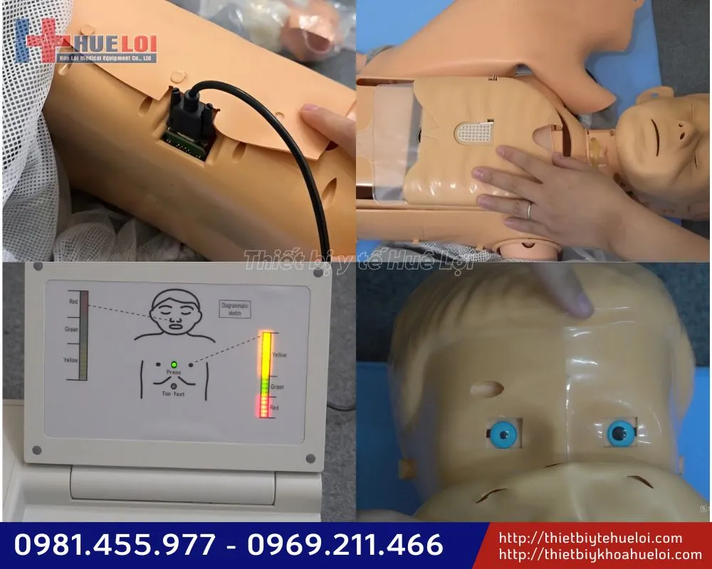 Tổng quan mô hình cpr trẻ em