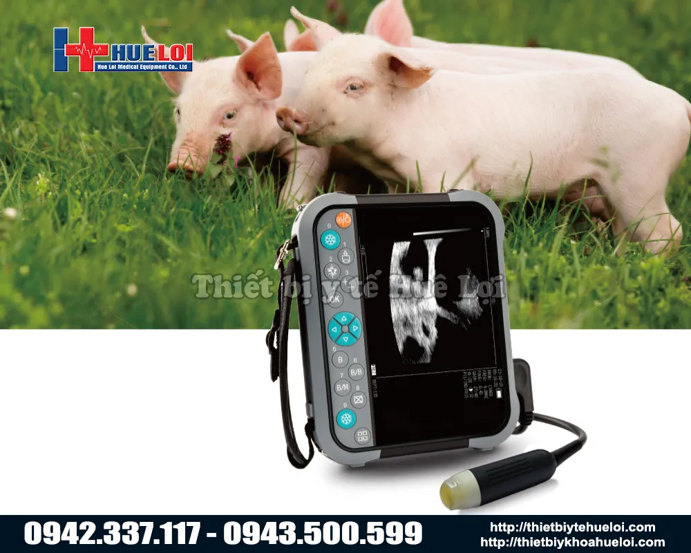 Máy siêu âm cho heo di động