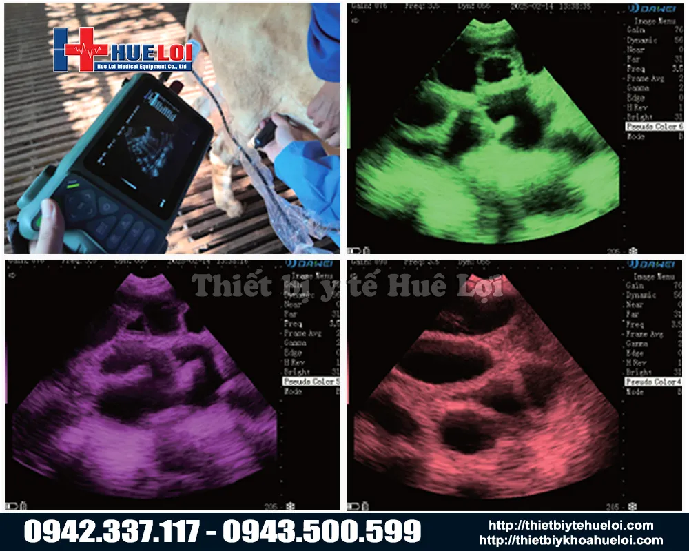 Hình ảnh thực tế của máy siêu âm thai cho heo
