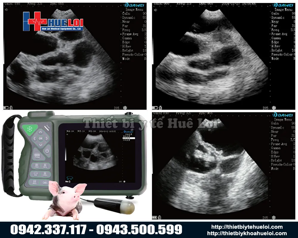 Chất lượng hình ảnh của máy siêu âm thai cho heo