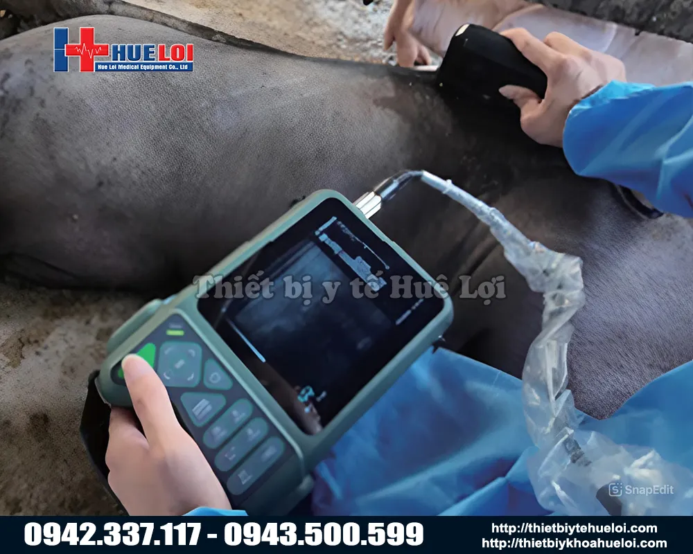 Máy chẩn đoán hình ảnh cho heo giá rẻ
