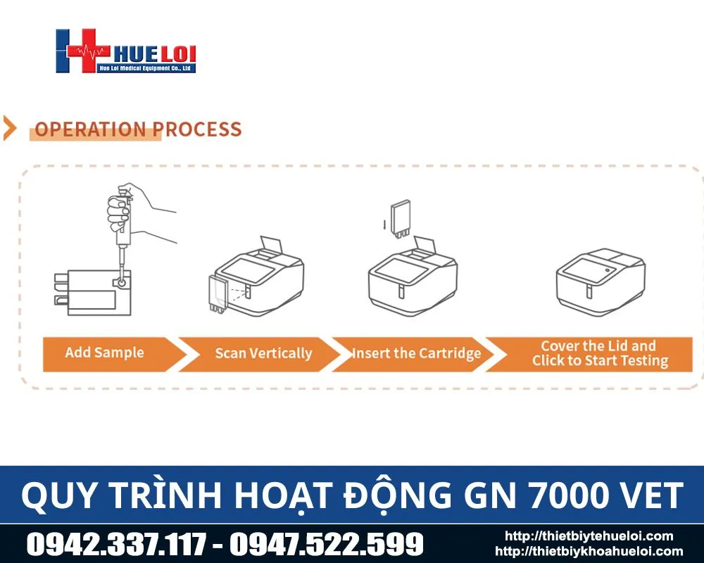 Quy trình hoạt động của máy xét nghiệm PCR GN7000 VET
