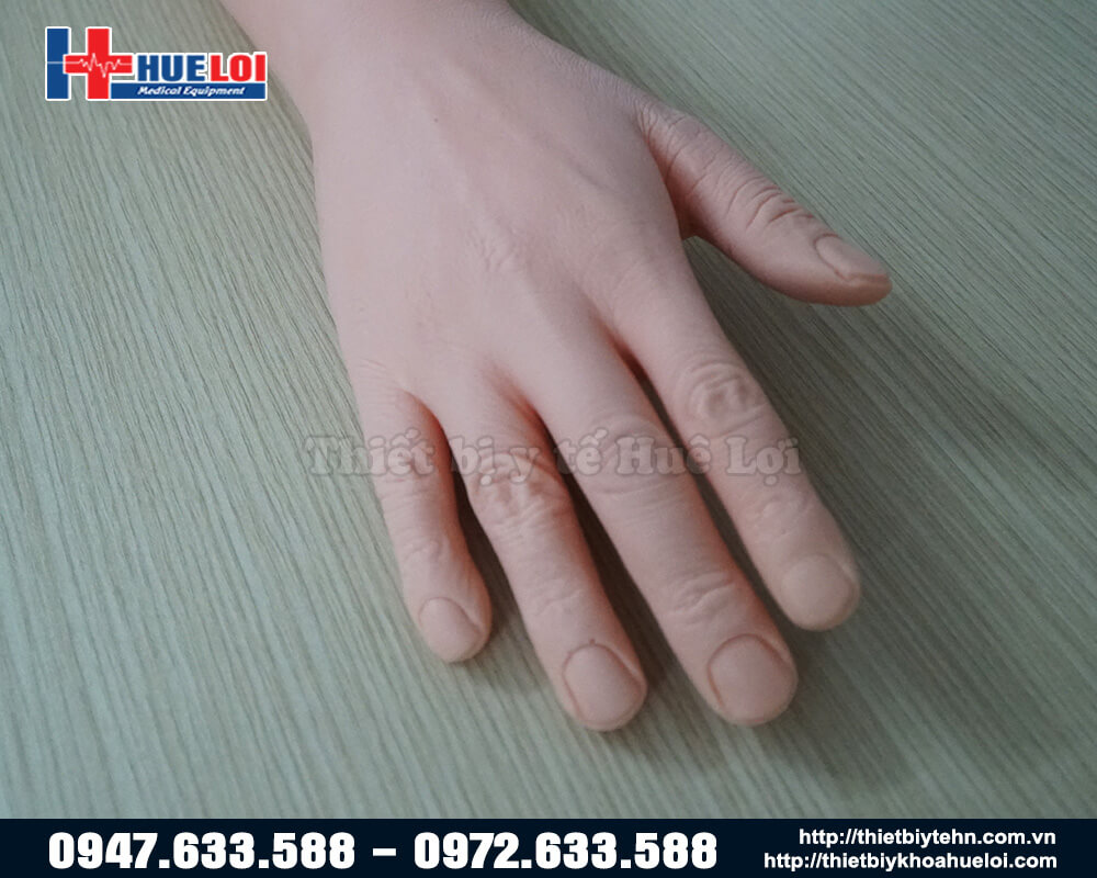 mô hình khâu vết thương