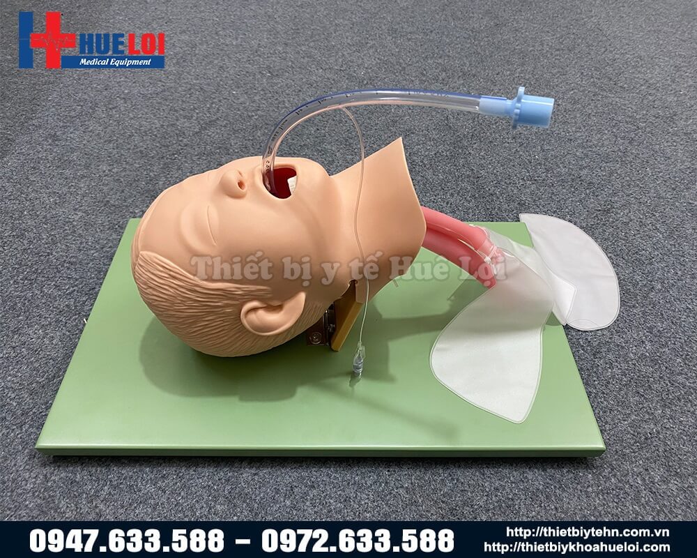 quản lý nội dung cài đặt mô hình