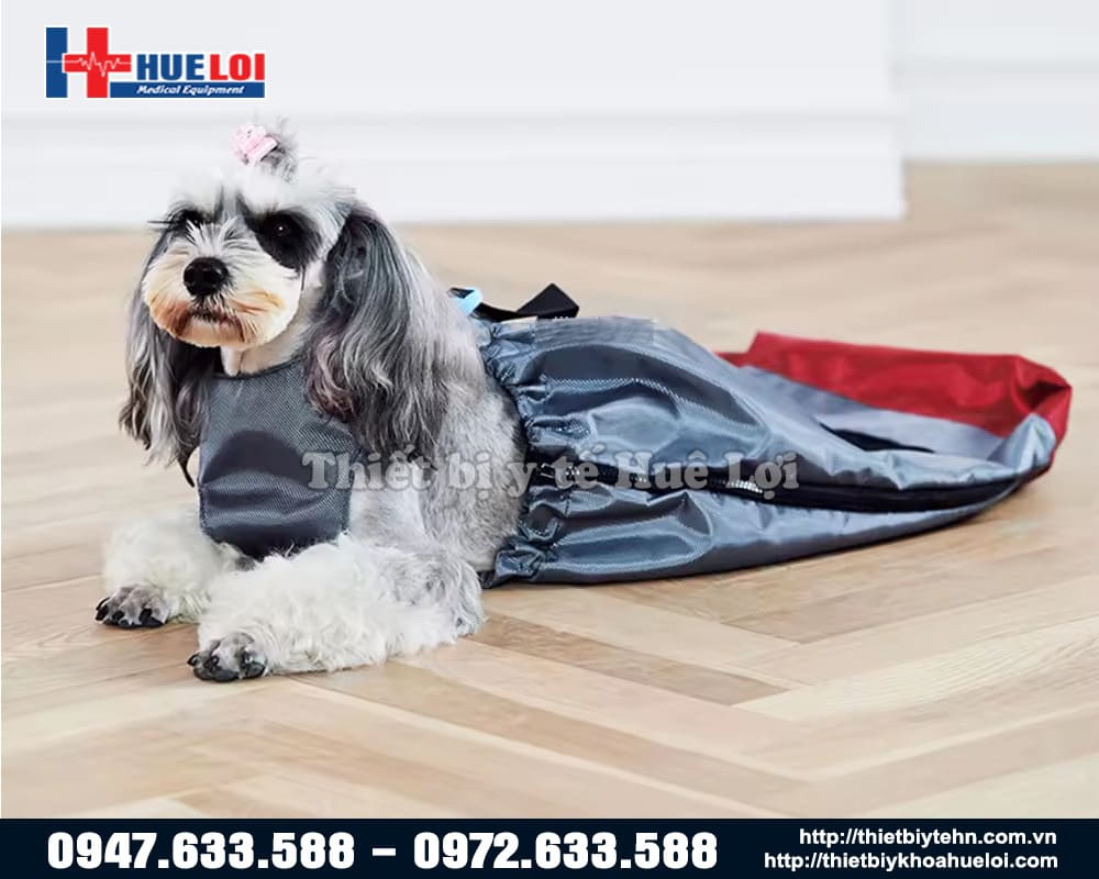 túi bảo vệ chi sau cho chó