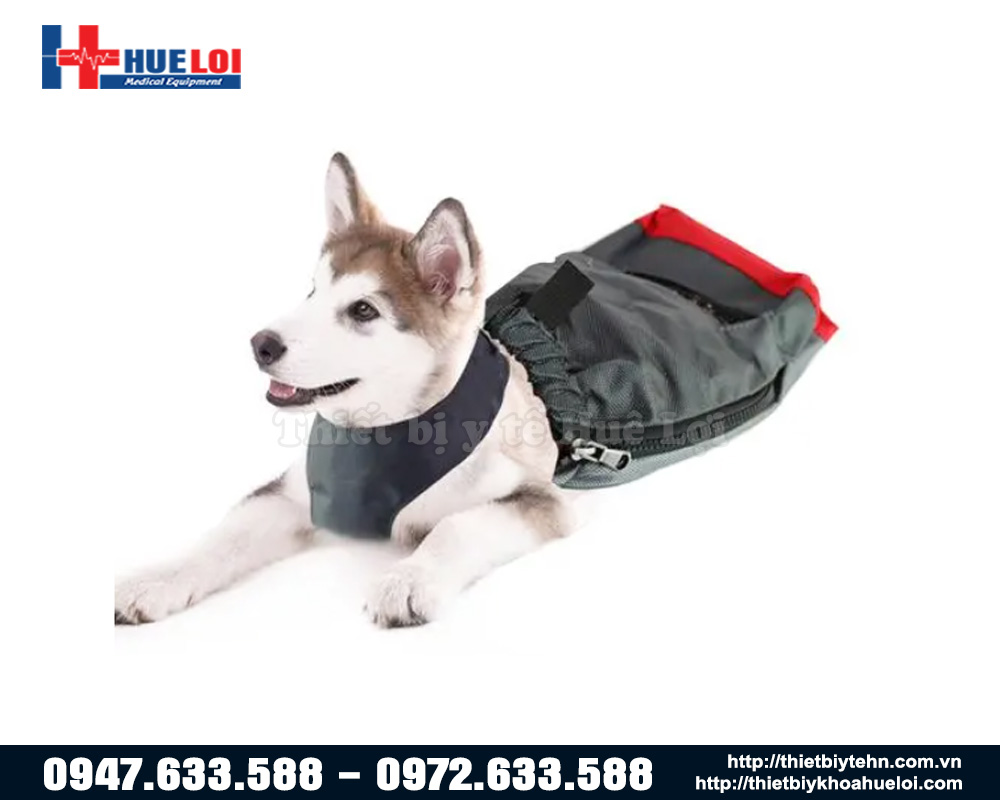 túi chống ma sát chân sau cho chó