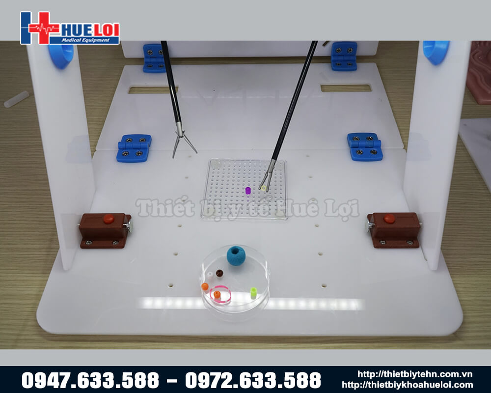 mô hình thực thi nội dung cao cấp