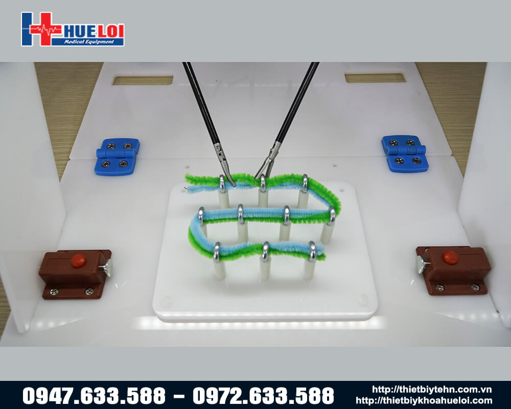 mô hình thực thi các kỹ năng chuyên môn nội soi