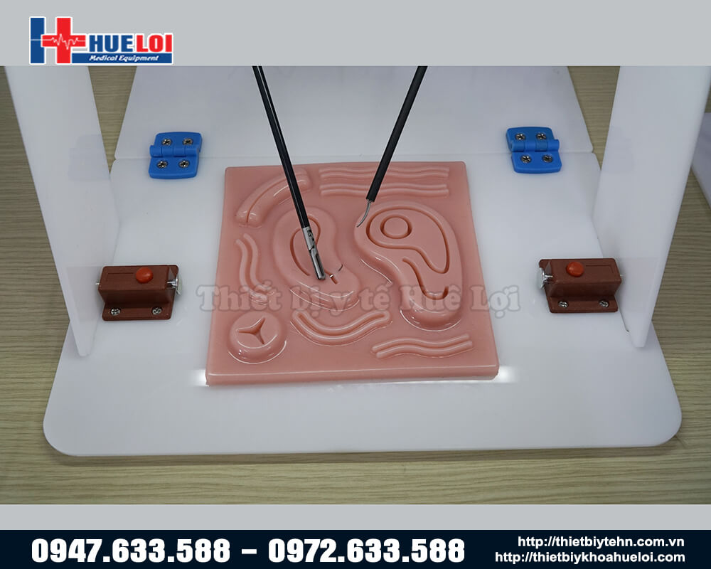 mô hình thực hành khâu vết thương nội dung