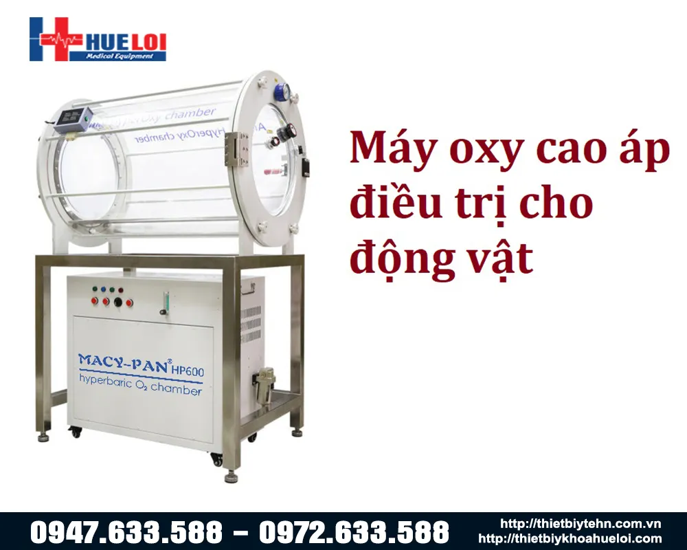 Buồng oxy cao áp cho động vật Buồng oxy cao áp cho động vật