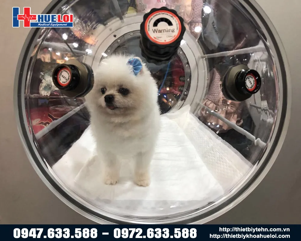 Buồng oxy cao áp cho bệnh viện thú y Buồng oxy cao áp cho bệnh viện thú y