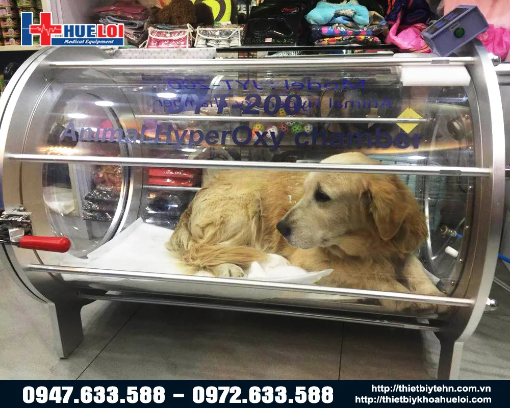 Máy oxy cao áp cho thú cưng Máy oxy cao áp cho thú cưng