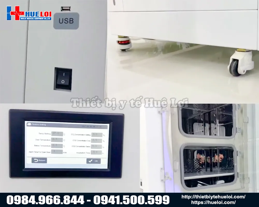 Tủ Ấm Nuôi Cấy Tế Bào Động Vật Biobase Cao Cấp